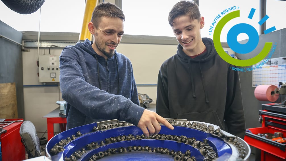 Inclusion professionnel